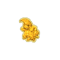 Golden Squirtleaf